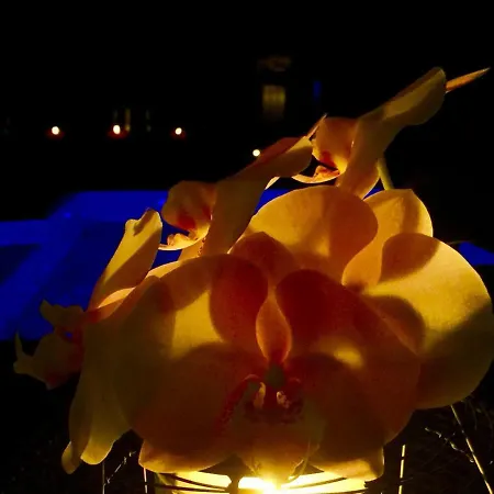 Nyaraló Casa Lira Arco da Calheta