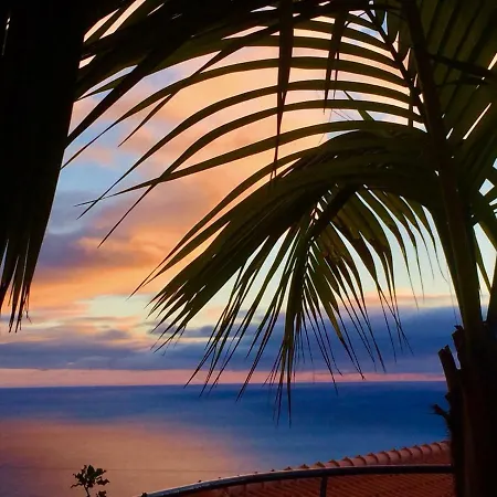 Casa Lira Hébergement de vacances Arco da Calheta (Madeira)