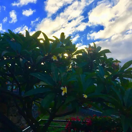 Casa Lira Heated Swiming, Sea View And Air Conditioning * Arco da Calheta (Madeira)