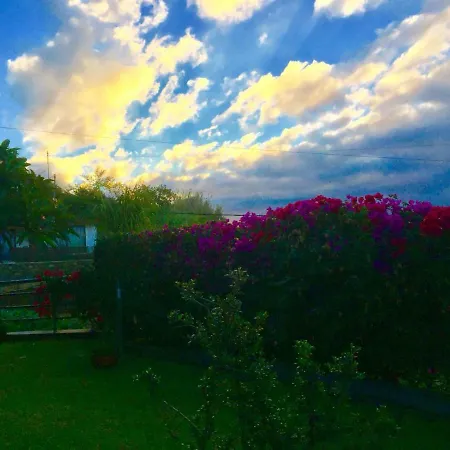 Nyaraló Casa Lira Arco da Calheta