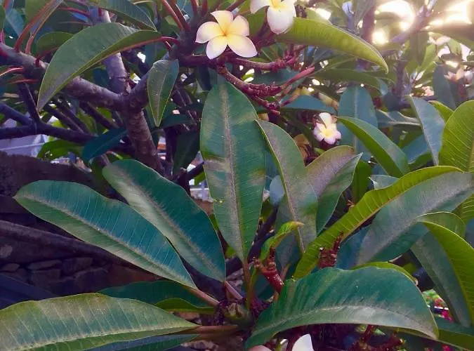 Casa vacanze Casa Lira *