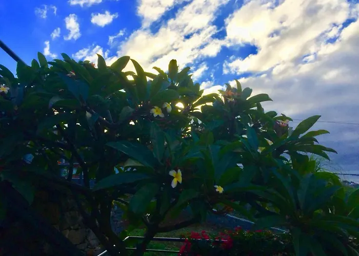 Casa Lira * Arco da Calheta (Madeira)