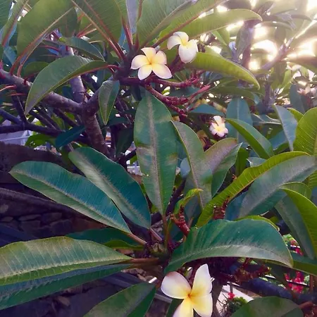 Сasa de vacaciones Casa Lira *