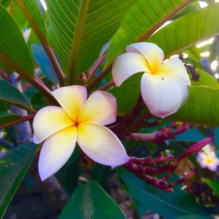 Сasa de vacaciones Casa Lira *