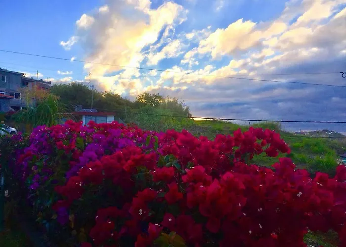 Casa Lira Hébergement de vacances Arco da Calheta (Madeira)