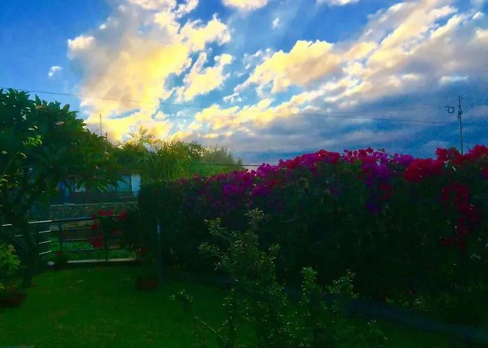 Hébergement de vacances Casa Lira Arco da Calheta (Madeira)